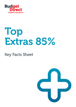 Top Extras 85% Key Fact Sheet