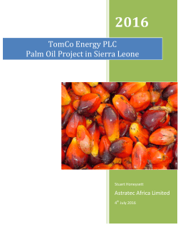 Proposal for Supply of 10 Tonnes Per Day Palm