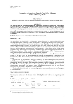 Propagation of Strawberry Plants in Pots: Effect of Runner Order and