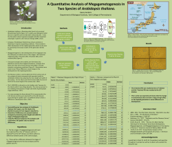 Sanders - York College of Pennsylvania