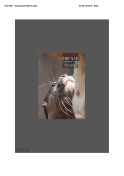 Draft Program