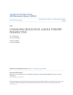 changing roles in is: a role theory perspective