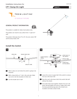 CP1 Clamp-On Light