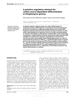 A putative regulatory element for carbon-source