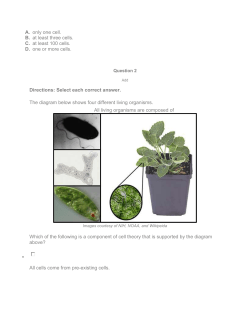 only one cell. at least three cells. at least 100 cells. one or more cells