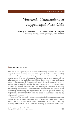 Mnemonic Contributions of Hippocampal Place Cells