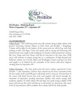 DLJ Marketing Report