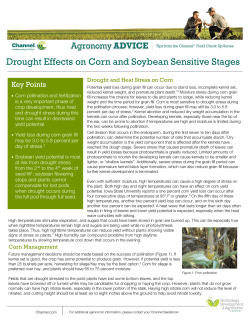 Drought Effects on Corn and Soybean Sensitive