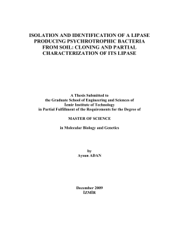 isolation and identification of a lipase producing psychrotrophic