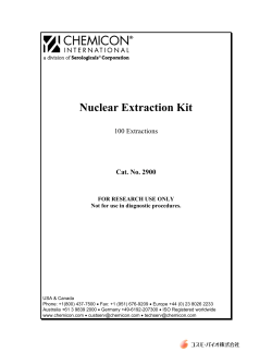 Nuclear Extraction Kit