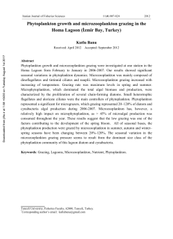 Phytoplankton growth and microzooplankton grazing in the Homa