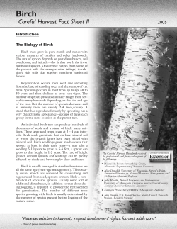 Careful Harvest 2005