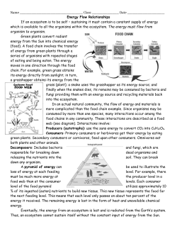 Name Class Date Energy Flow Relationships If an ecosystem is to