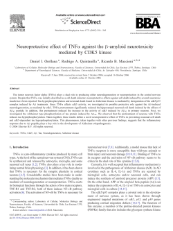 Neuroprotective effect of TNF&alpha; against the &beta;