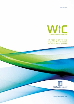 INTELLIGENT FIRE for grate fired waste and biomass plants