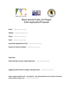 Bison-tennial Public Art Project Application