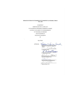 ABSTRACT The sodium-dicarboxylate co