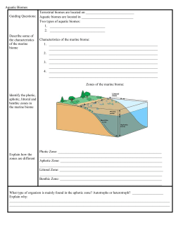 Aquatic Biomes Guiding Questions: Describe some of the