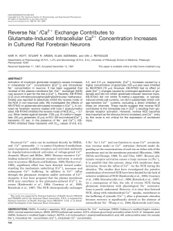 Reverse Na /Ca Exchange Contributes to Glutamate