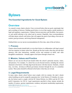 Essential Ingredients for Good Bylaws