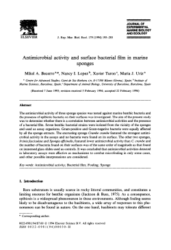 Antimicrobial activity and surface bacterial film in
