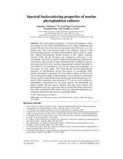 Spectral backscattering properties of marine phytoplankton cultures