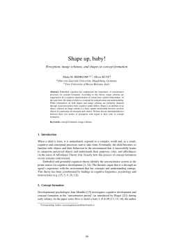 Perception, Image Schemas, and Shapes in Concept Formation