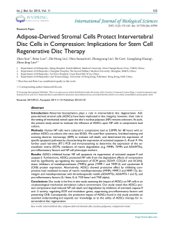 Adipose-Derived Stromal Cells Protect Intervertebral Disc Cells in