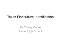 Texas Floriculture Identification Plants 1-10