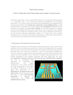Mark Schvartzman Lab for Molecular