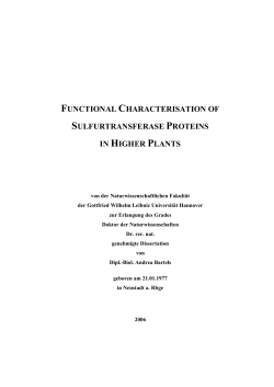 Functional characterisation of sulfurtransferase proteins in higher