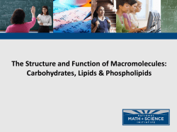 The Structure and Function of Macromolecules