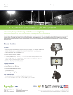 12" LED Flood Light Apollo, Olympia Series