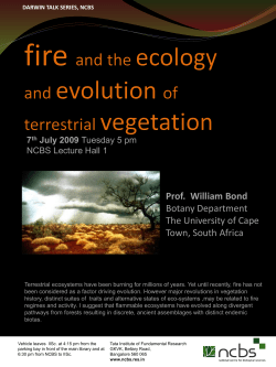 Fire and the ecology and evolution of terrestrial vegetation