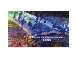 Cell responses to environment-