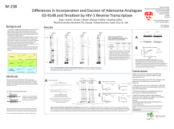 Differences in Incorporation and Excision of Adenosine Analogues