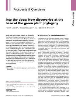 Into the deep: New discoveries at the base of the green plant
