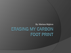 Carbon Foot Print - 07miglioremeng12