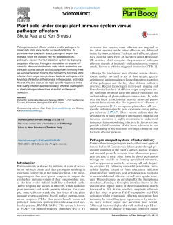 Plant cells under siege: Plant immune system versus pathogen