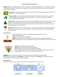 Plant and Animal Test Study Guide PLANTS belong to the kingdom