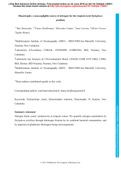 Diazotrophs: a non-negligible source of nitrogen for the tropical