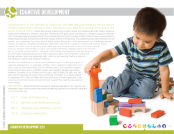 COGNITIVE DEVELOPMENT CognItIvE DEvElopmEnt