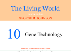 The Living World - Chapter 10