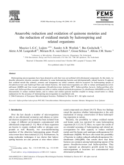 Anaerobic reduction and oxidation of quinone moieties and the