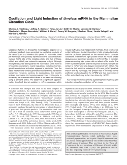Oscillation and Light Induction of timeless mRNA in the Mammalian