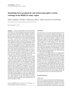 Simulating forest productivity and surface