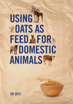 OATS AS FEED
