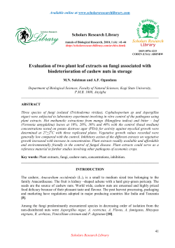 Evaluation of two plant leaf extracts on fungi associated with