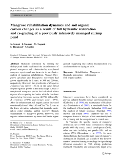 Mangrove rehabilitation dynamics and soil organic carbon changes