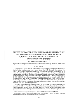 effect of water hyacinths and fertilization on fish
